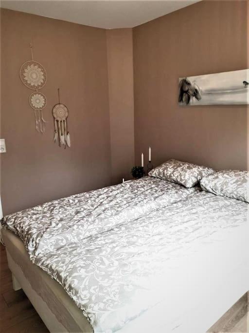 Greenhouse Golden Circle Villa Reykholt  Εξωτερικό φωτογραφία